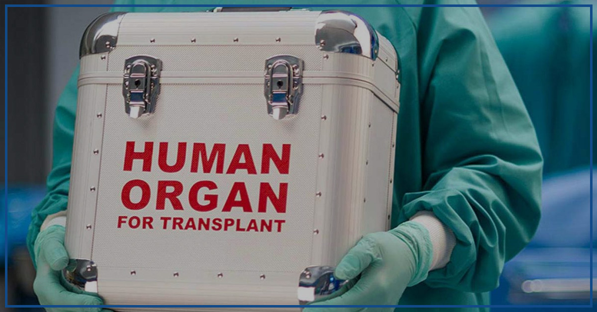 Punjab Authorities Arrest Organ Trafficking Gang for Illegal Transplants