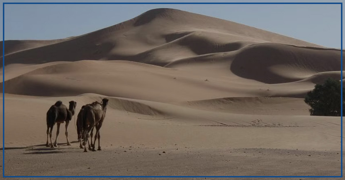 Scientists Uncover Secrets of Massive, Shifting Moroccan Star Dune